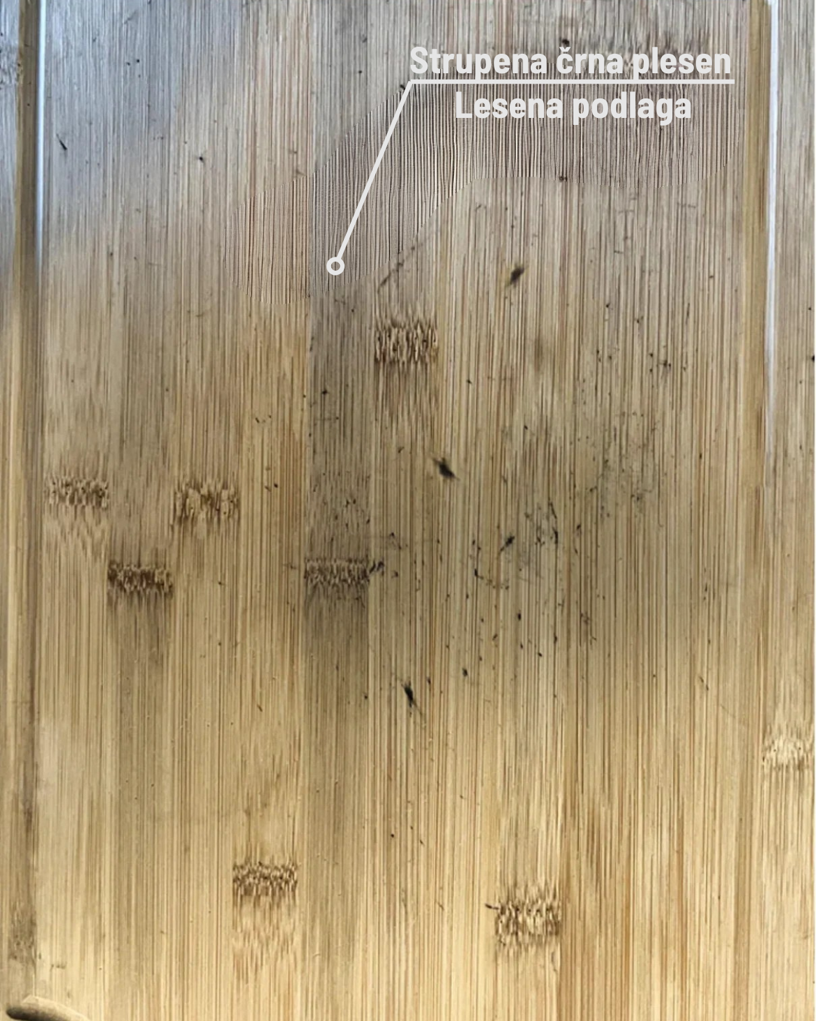 Toxic plastic shavings (BPA) on plastic board